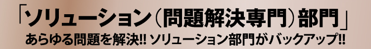 「ソリューション（問題解決専門）部門」